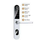 घर के लिए एपीपी नियंत्रण डिजिटल TTlock दरवाज़ा बंद स्मार्ट फ़िंगरप्रिंट 6V