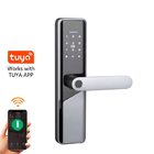 कार्ड पासवर्ड Tuya Deadbolt कुंजी रहित स्मार्ट फिंगरप्रिंट डोर लॉक स्मार्ट लॉक