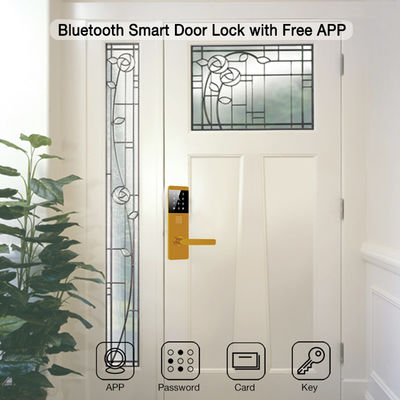 एल्यूमीनियम मिश्र धातु TTlock पासवर्ड अपार्टमेंट होम ऑफिस के लिए इलेक्ट्रॉनिक स्मार्ट डोर लॉक