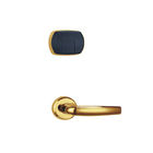 बिना चाबी आरएफआईडी कुंजी कार्ड दरवाज़ा बंद 125kHz 4 × एए क्षारीय इलेक्ट्रॉनिक दरवाज़ा बंद